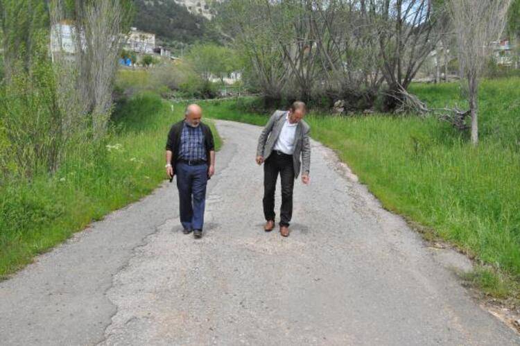 Gümüşhane'de çekirge alarmı! Bütün köyü istila ettiler 12