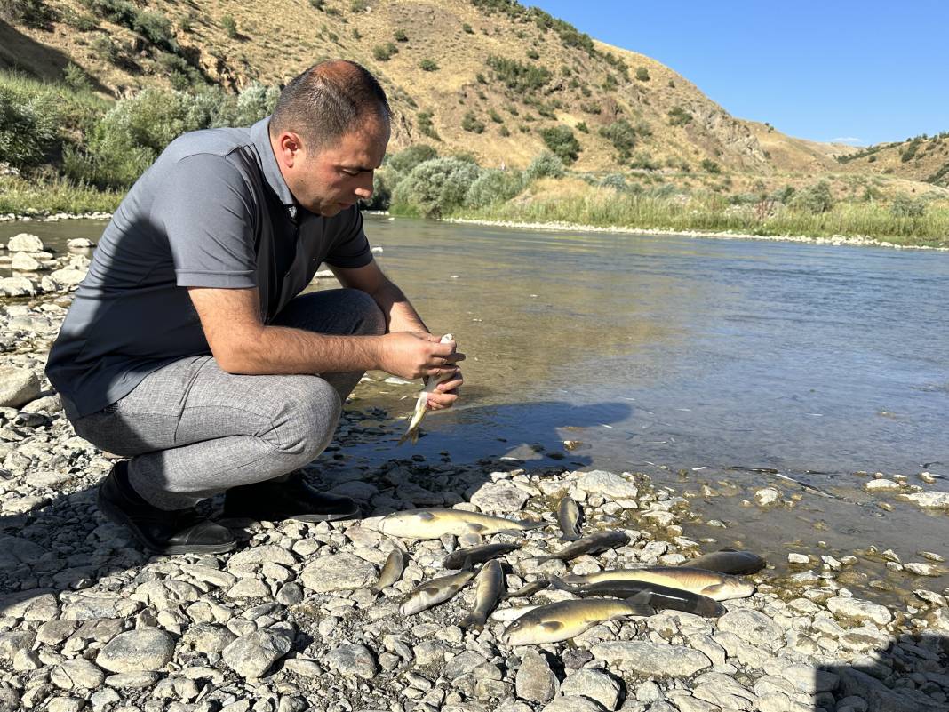 Hakkari’de korkutan manzara: Toplu ölümlerin ardı arkası kesilmiyor 6