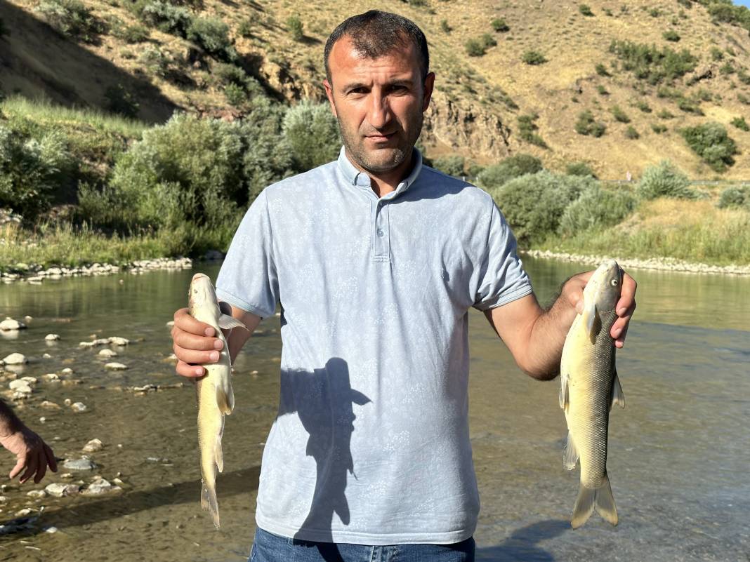 Hakkari’de korkutan manzara: Toplu ölümlerin ardı arkası kesilmiyor 7