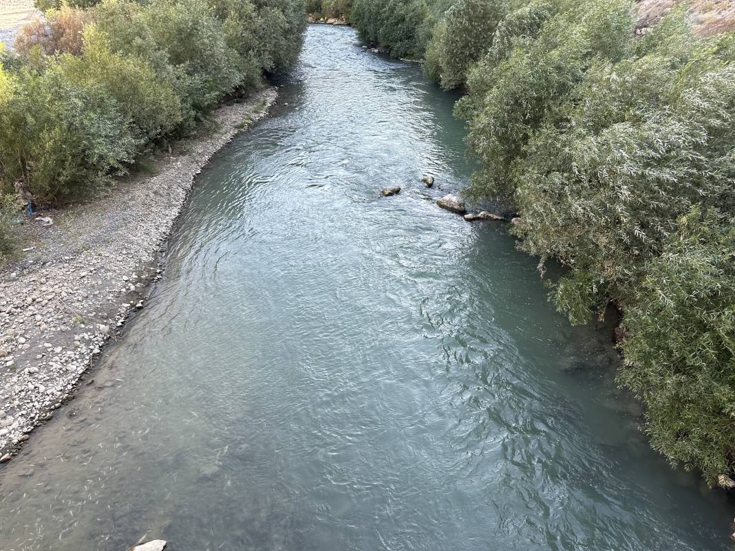 Hakkari’de korkutan manzara: Toplu ölümlerin ardı arkası kesilmiyor 10