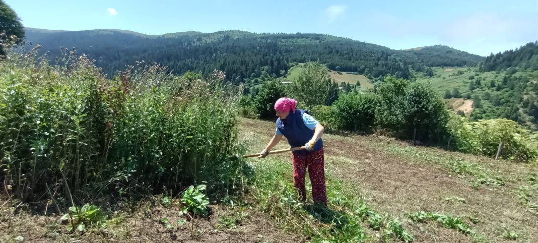 Karadeniz'de keşfettiler, dünyaya kafa tutuyorlar: Bu yağın litresi 35 bin Türk Lirası 3