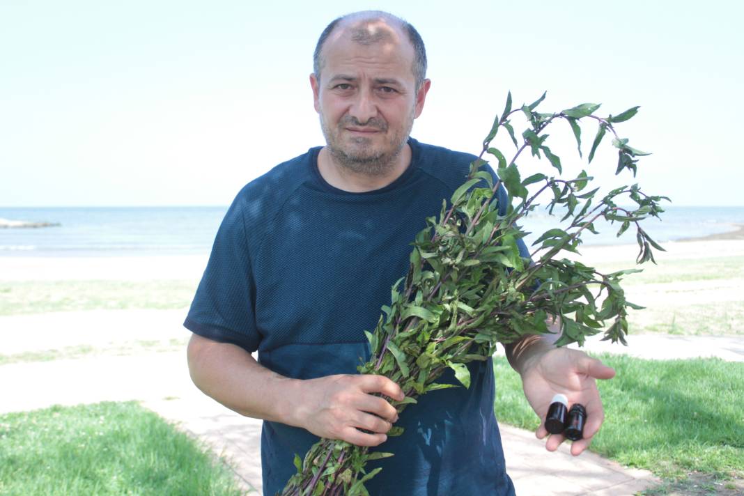 Karadeniz'de keşfettiler, dünyaya kafa tutuyorlar: Bu yağın litresi 35 bin Türk Lirası 7