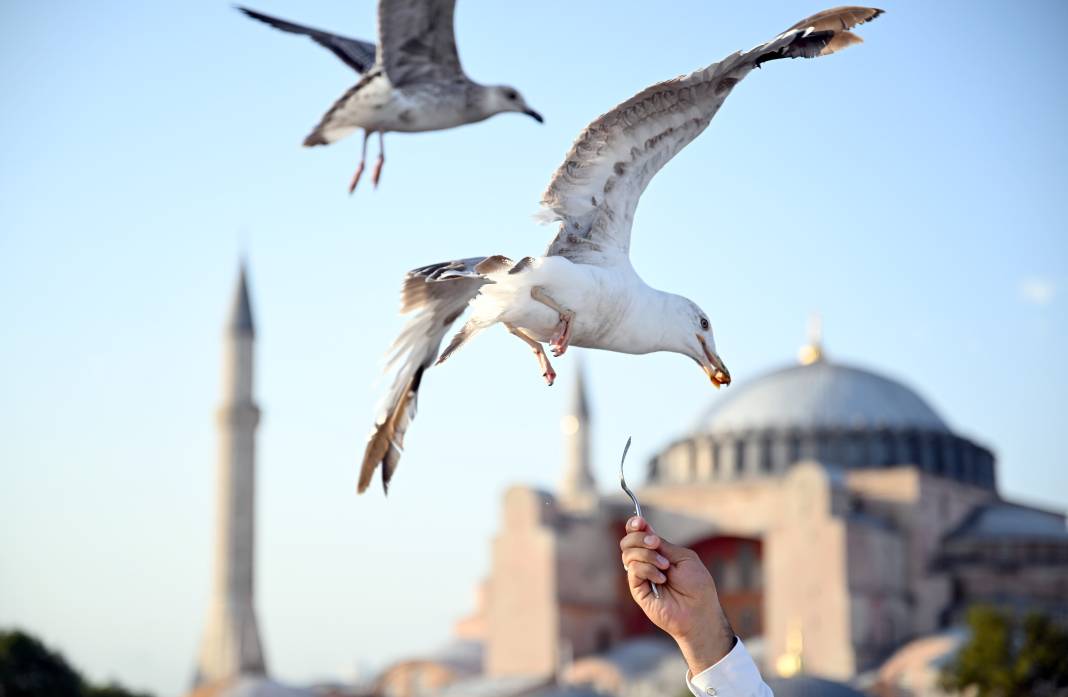 Bu pozu çektirmek için dünyanın her yerinden İstanbul’a geliyorlar 9