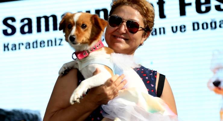 Kedi ve köpek kostüm yarışması renkli görüntülere sahne oldu!  Kazananlara mama hediye edildi 2