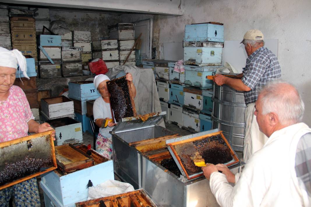 Tüm dünyada kapış kapış gidiyor: Kilosu 250 lira! 1