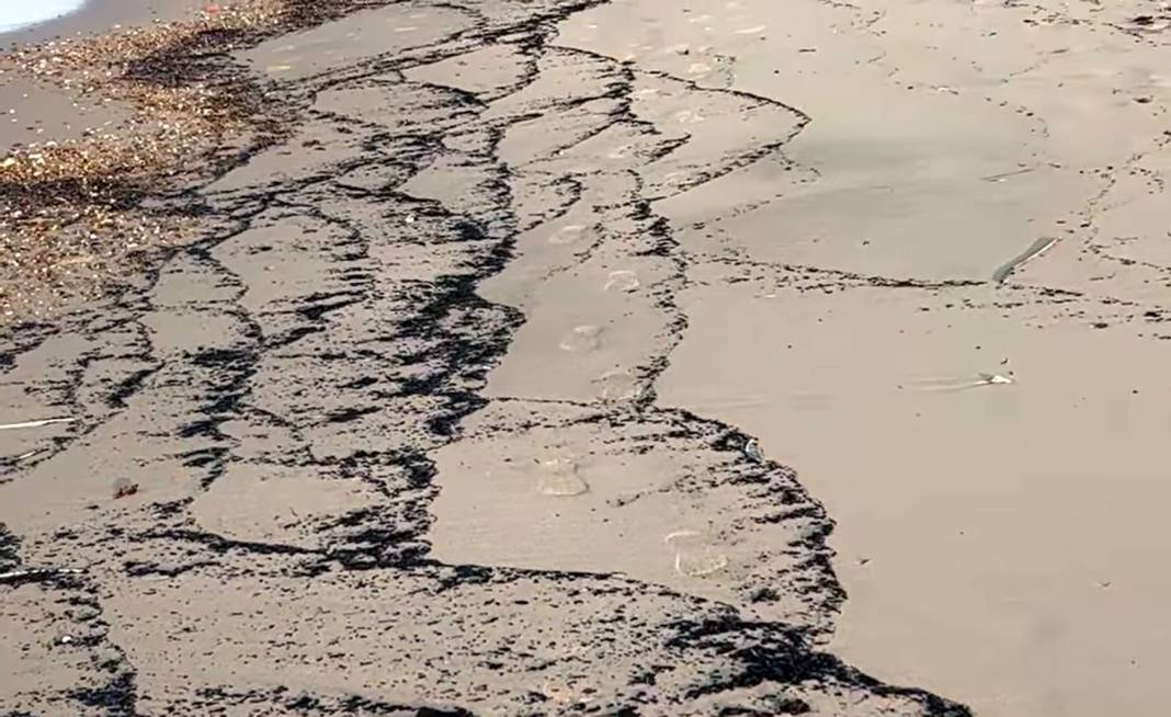 Çanakkale yangınının izleri, Edirne kıyılarında 1