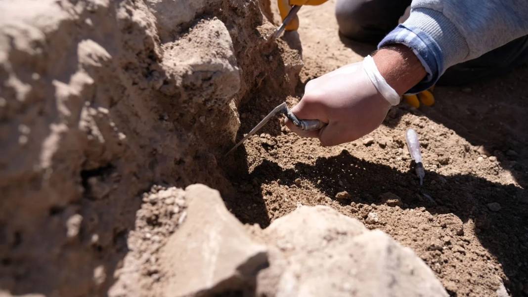 Konya'da toplu çocuk mezarı bulundu: 42 iskelet gün yüzüne çıktı! 9