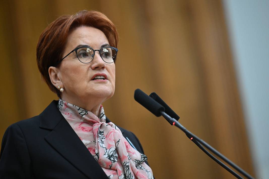 Meral Akşener meydan okudu! Haydi gelin beni de tutuklayın görelim 2