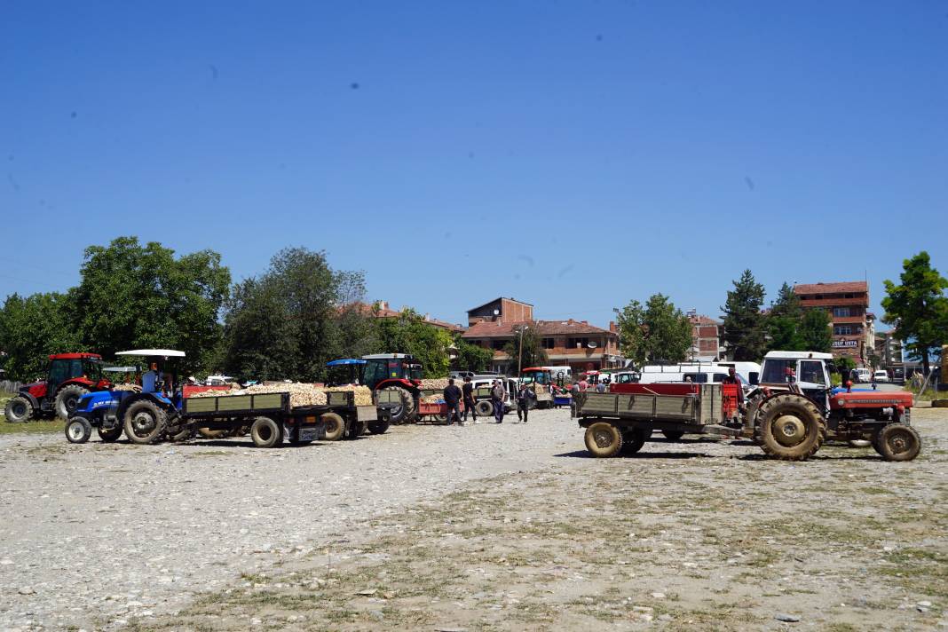 Kilosu 70 liraydı! Verim düştü çiftçi kara kara düşünüyor! 2