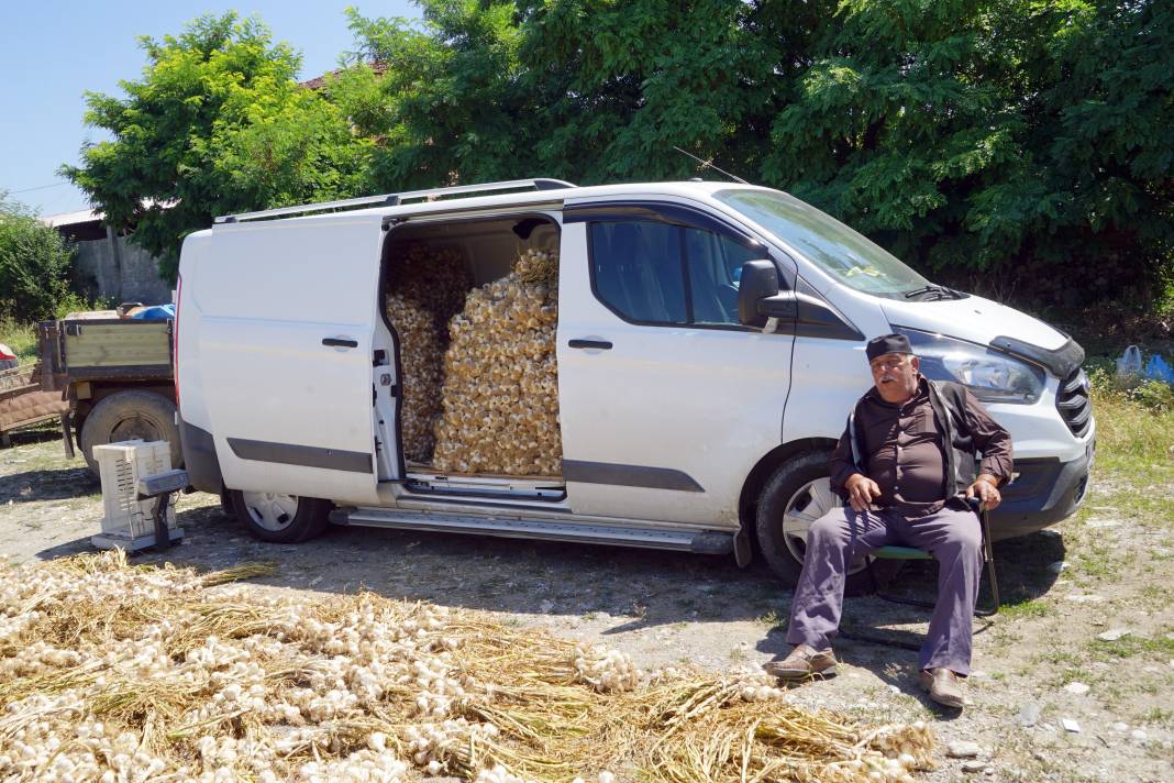 Kilosu 70 liraydı! Verim düştü çiftçi kara kara düşünüyor! 3