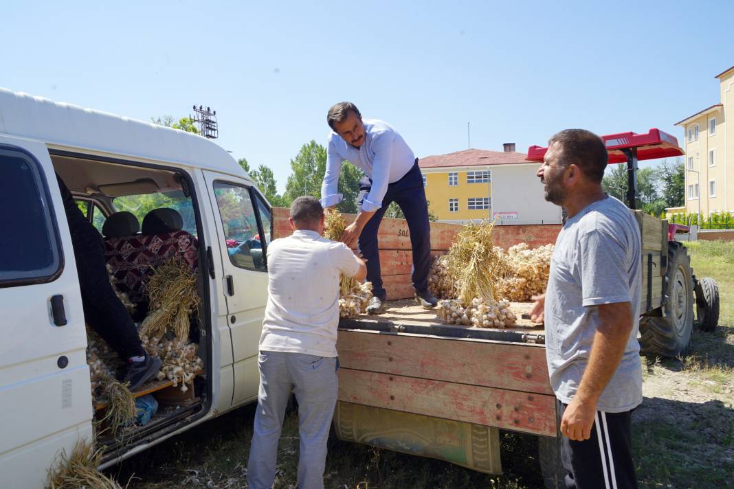 Kilosu 70 liraydı! Verim düştü çiftçi kara kara düşünüyor! 4