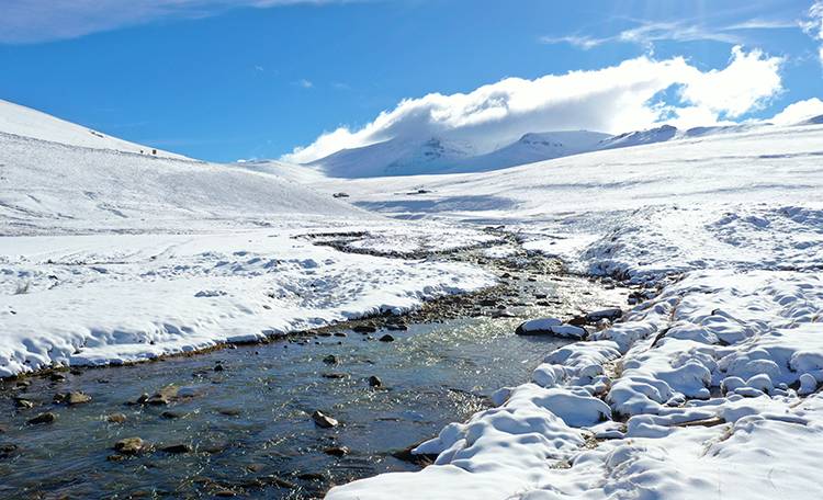 Trabzon'un yüksek kesimlerinde kar etkili oldu 2