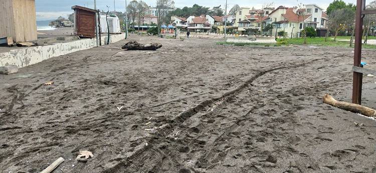 Sağanak ve şiddetli rüzgar Sakarya ve Düzce'de büyük hasar bıraktı 9