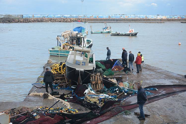 Sağanak ve şiddetli rüzgar Sakarya ve Düzce'de büyük hasar bıraktı 5