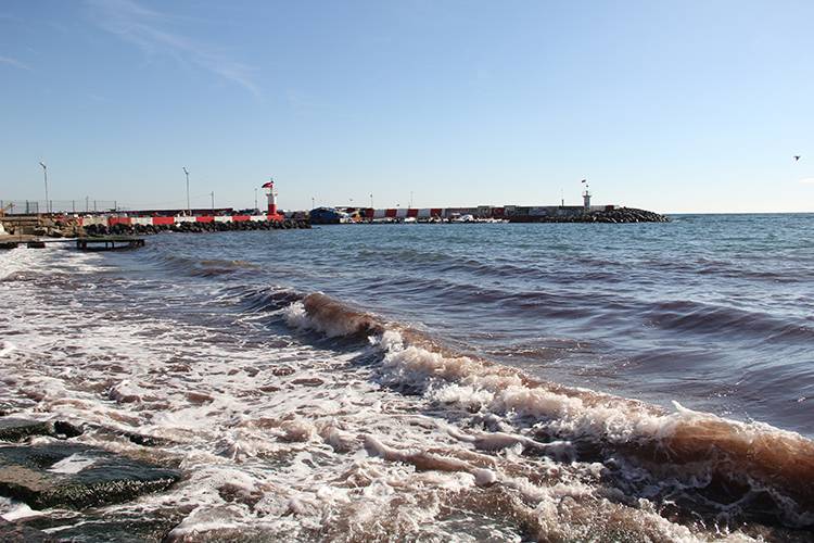 Tekirdağ'da lodos nedeniyle sahilde kırmızı yosun birikti 4