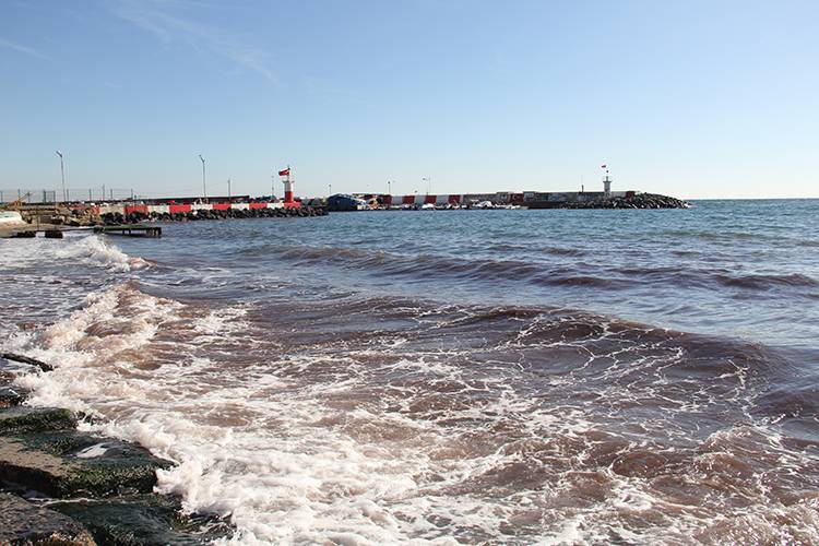 Tekirdağ'da lodos nedeniyle sahilde kırmızı yosun birikti 2