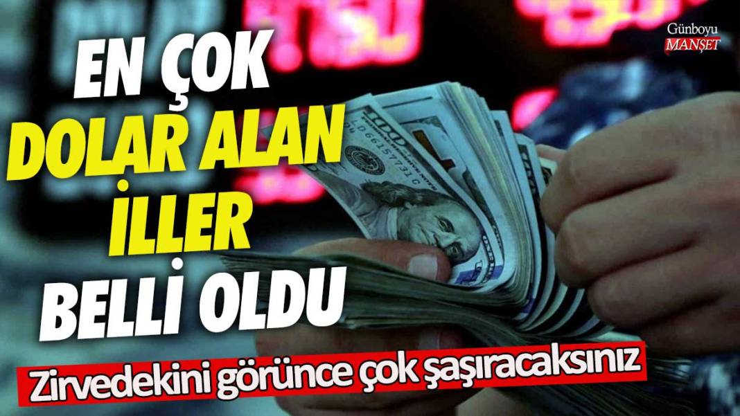 En çok dolar alan iller belli oldu! Zirvedekini görünce çok şaşıracaksınız 1