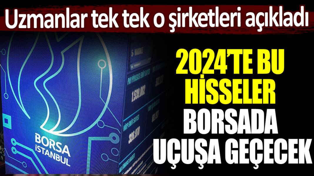 Uzmanlar borsa yatırımcısını uyardı: 2024'te bu hisseler uçuşa geçecek! 1