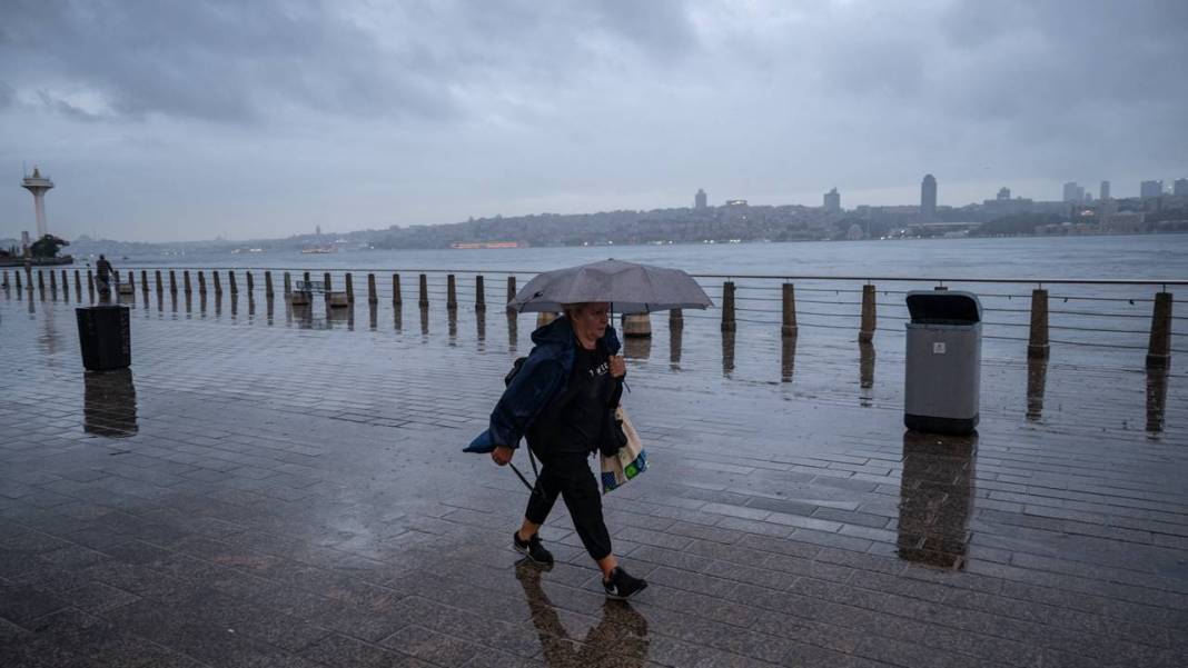 Meteoroloji uyardı: Mont, bot ve eldivenlerinizi hazırlayın lapa lapa kar yağacak! 6