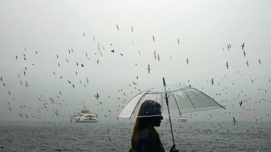 İstanbul dahil 12 il için sarı kod alarmı! Meteoroloji'den sis, pus ve sağanak uyarısı... 4