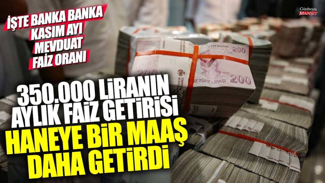 350.000 liranın aylık faiz getirisi haneye bir maaş daha getirdi! İşte banka banka Kasım ayı mevduat faiz oranı 1