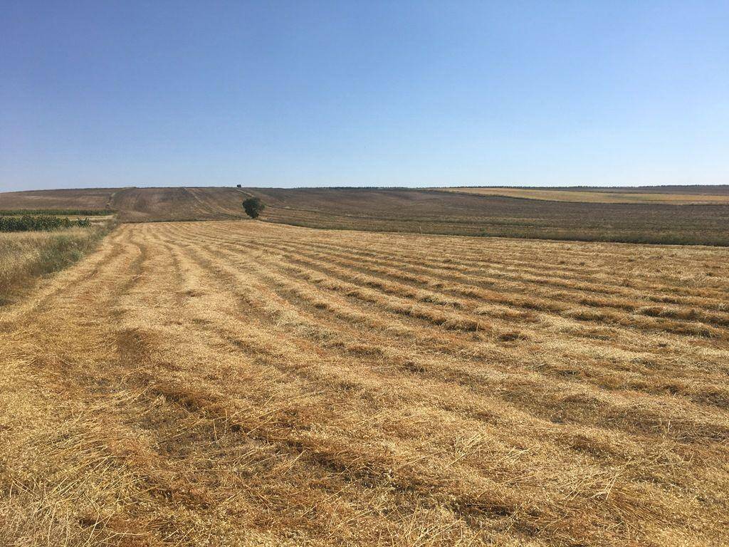 Bu bölgelerden arsa alan paraya para demeyecek! Daha da değerlenecek: Fiyatı duyan koşuyor 10