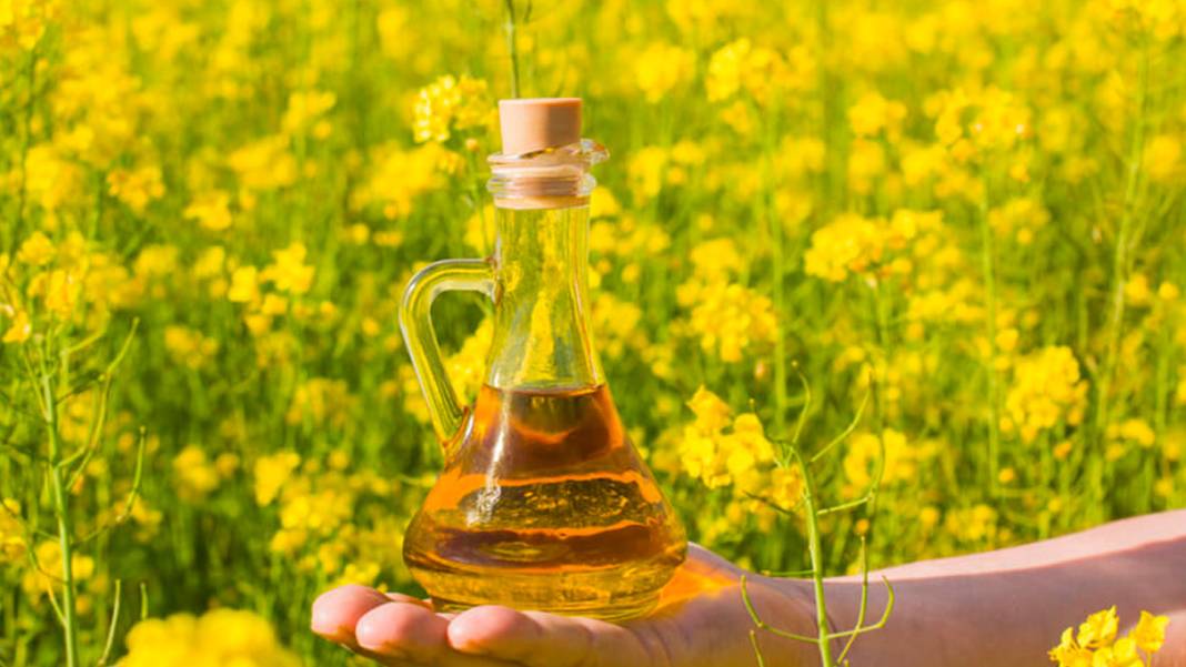 Türkler emek emek üretti onlar kapış kapış aldı 4