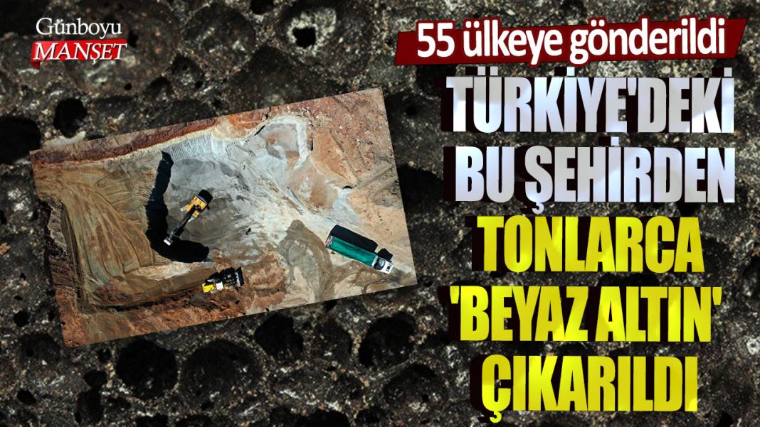 Türkiye'deki bu şehirden tonlarca 'beyaz altın' çıkarıldı! 55 ülkeye gönderildi 1