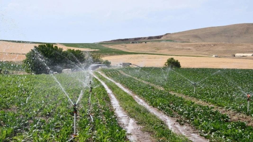 Bakanlıktan KDV'den muaf arsa satışı! Deprem riski en düşük bölge 10