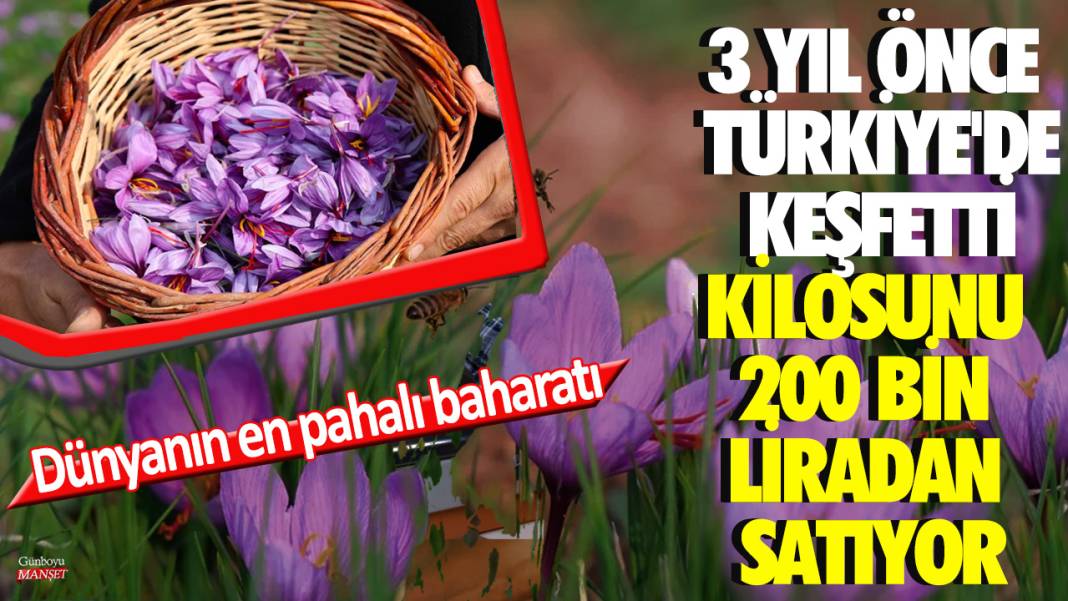 Dünyanın en pahalı baharatı! 3 yıl önce Türkiye'de keşfetti...Kilosunu 200 bin liradan satıyor 1