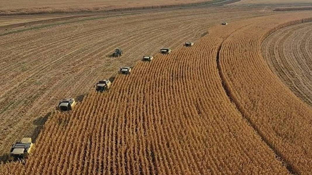 Bu bölgelerden arsa alan paraya para demeyecek! Daha da değerlenecek: Fiyatı duyan koşuyor 8