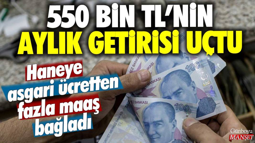 550 bin TL'nin aylık getirisi uçtu: Haneye asgari ücretten fazla maaş bağladı 1