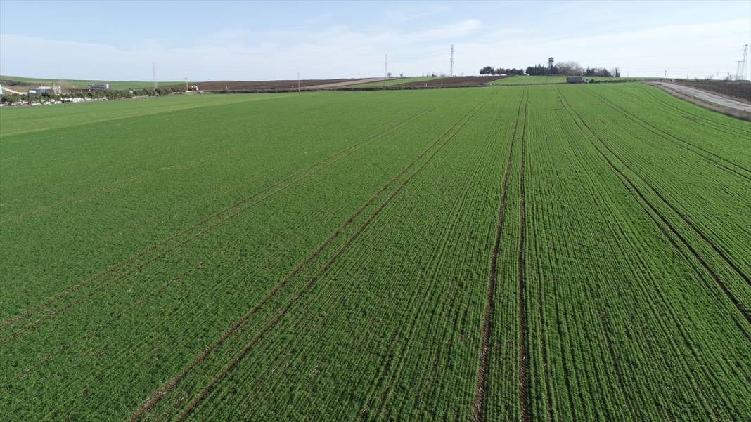 Bu bölgelerden arsa alan paraya para demeyecek! Daha da değerlenecek: Fiyatı duyan koşuyor 2