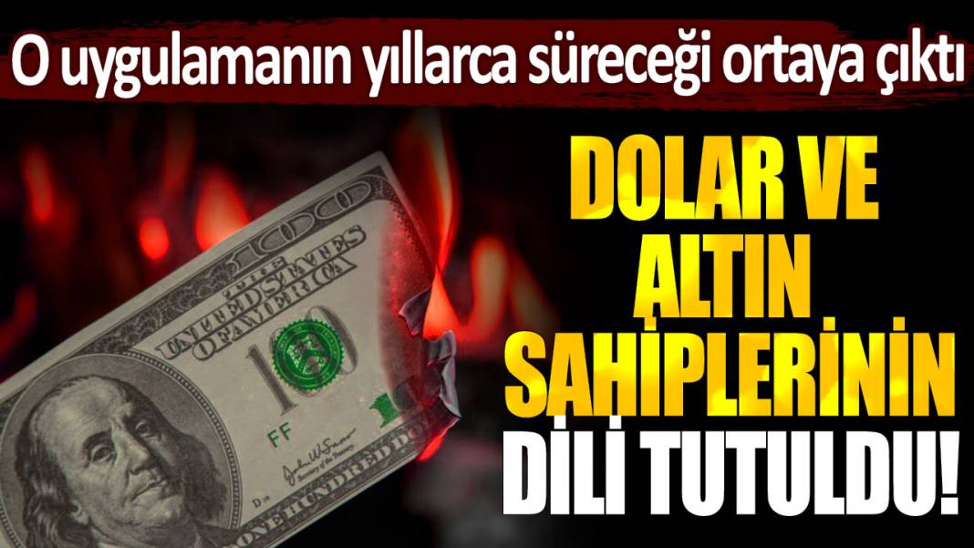 Dolar ve altın sahiplerinin dili tutuldu: O uygulamanın yıllarca süreceği ortaya çıktı! 1