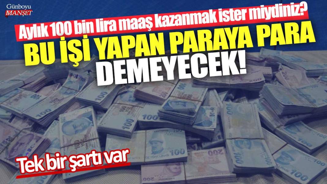 Aylık 100 bin lira maaş kazanmak ister miydiniz? Bu işi yapan paraya para demeyecek! Tek bir şartı var 1