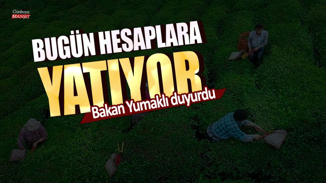 Bugün hesaplara yatıyor: Bakan Yumaklı duyurdu 1