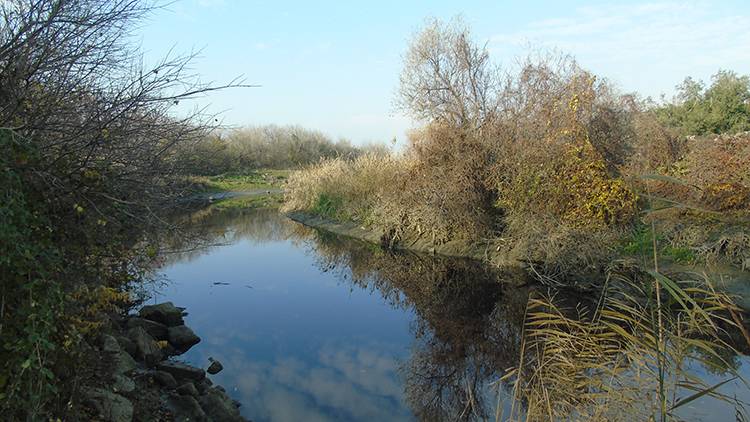 Gaziantep'teki Karasu Çayı'nda korkutan manzara 2