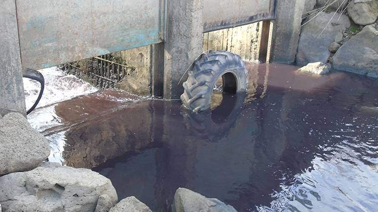 Gaziantep'teki Karasu Çayı'nda korkutan manzara 3