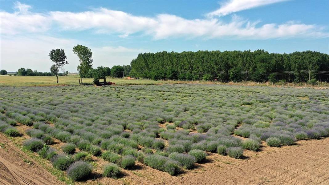 Bu bölgelerde evi ve arsası olanlar paraya para demeyecek: Talepler 15 kat arttı 3