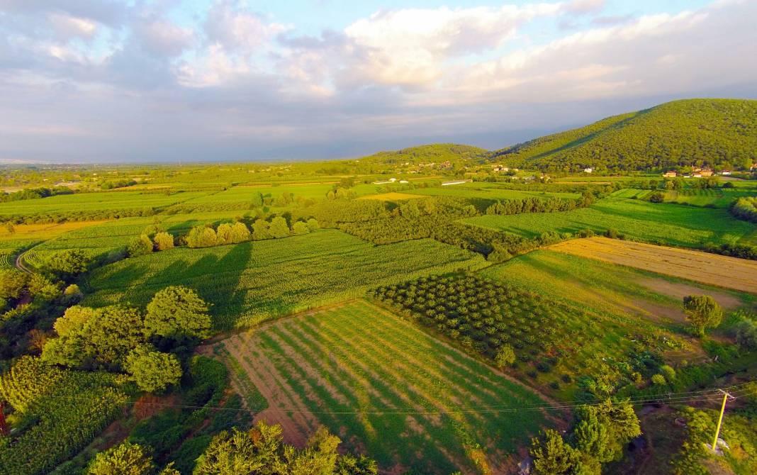 Tapu sahibi olmak isteyen herkesi ilgilendiriyor: Arsa alırken bu detaylara dikkat! Elinizde kalabilir 19