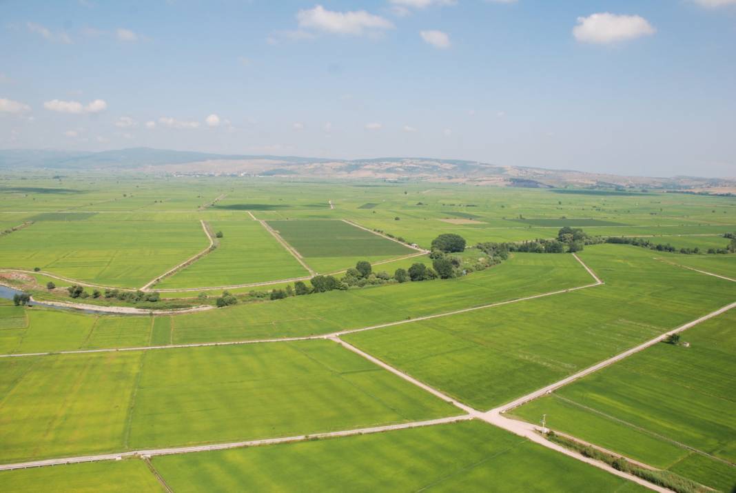 Tapu sahibi olmak isteyen herkesi ilgilendiriyor: Arsa alırken bu detaylara dikkat! Elinizde kalabilir 4