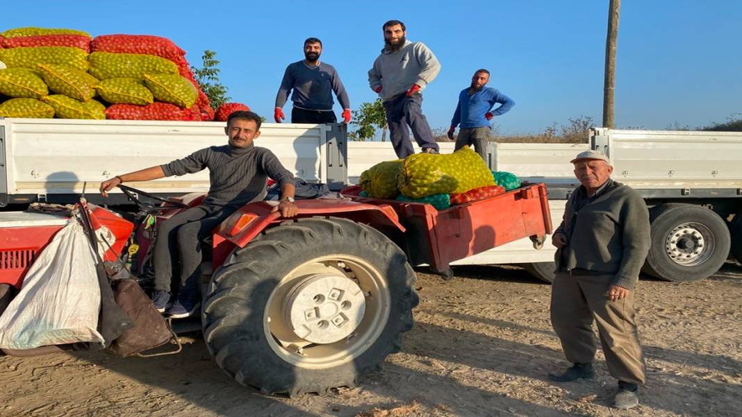 Son hasat çiftçilerin yüzünü güldürdü: Şifa kaynağı bu sene verimde rekor kırdı 4