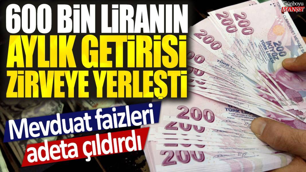 Mevduat faizleri adeta çıldırdı: 600 bin liranın aylık getirisi zirveye yerleşti 1