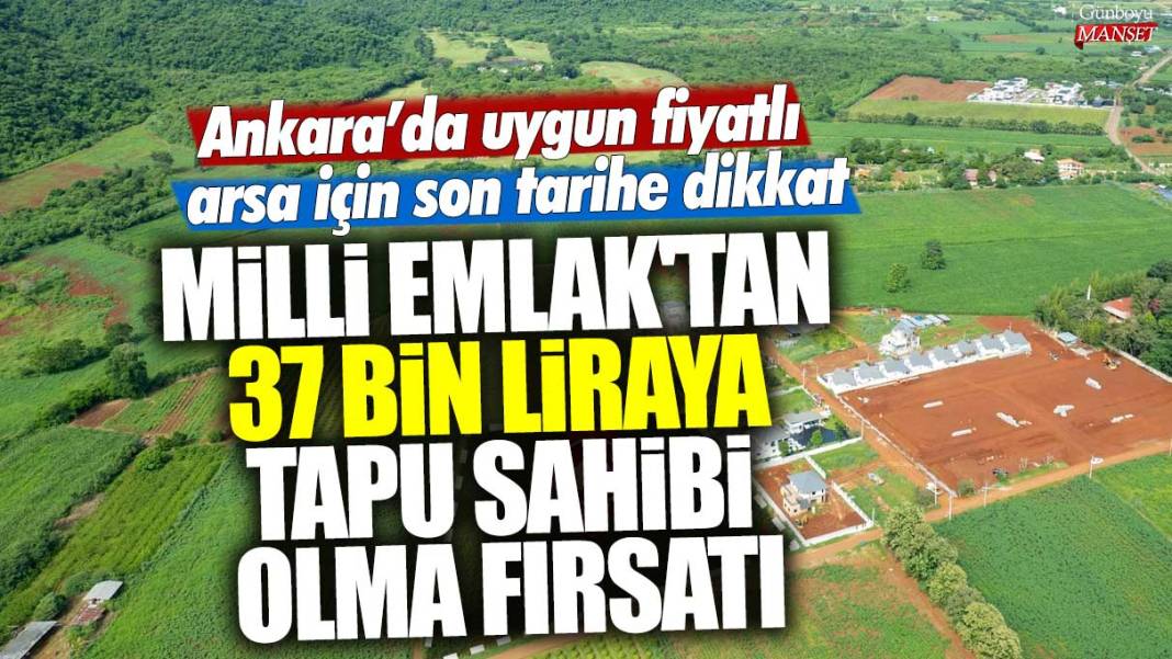 Milli Emlak'tan 37 bin liraya tapu sahibi olma fırsatı: Başkent Ankara'da uygun fiyatlı arsa için son tarihe dikkat 1