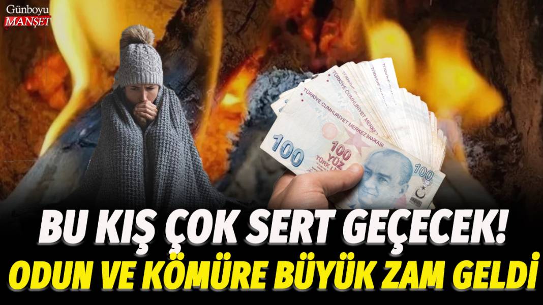 Bu kış çok sert geçecek! Odun ve kömüre büyük zam geldi 1