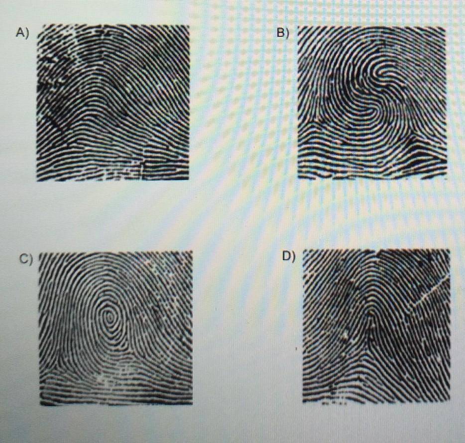 Araştırmacılar, “parmak izlerinin benzersiz olduğu” teorisini çürüttü! 7