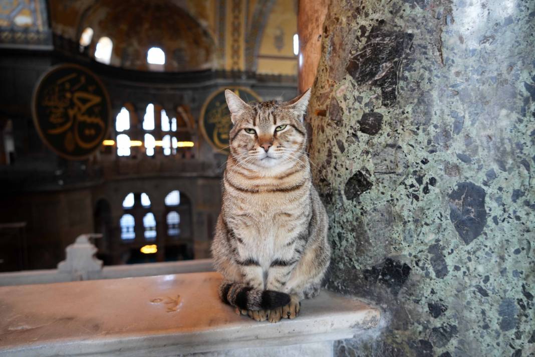 Ayasofya Camii’nin yeni  Gli’si oldu! 6