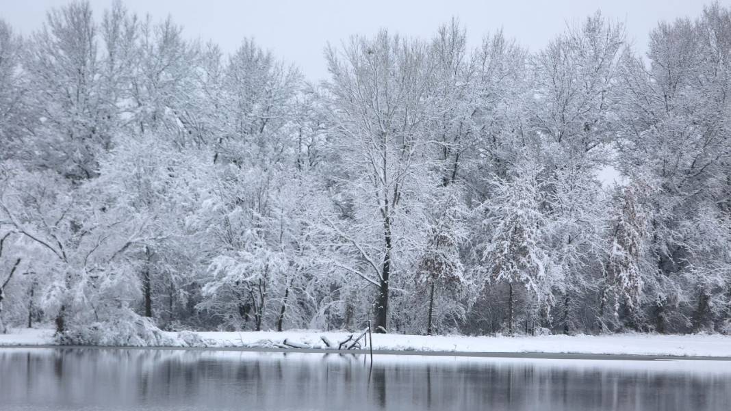 Meteoroloji'den İstanbul dahil 21 il için sarı kodlu alarm verdi! Sağanak yağış, kar, sis ve pus... Hepsi birden geliyor 4