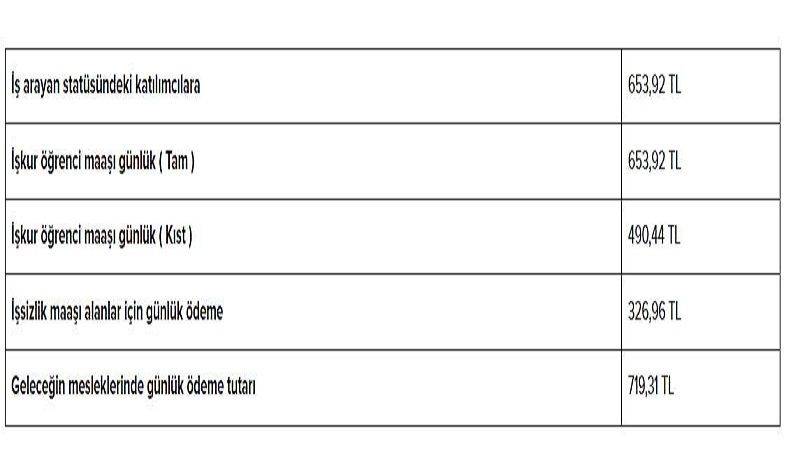 Bu kişilere günlük 700 lira ödeme yapılacak: 81 ilde düğmeye basıldı 14