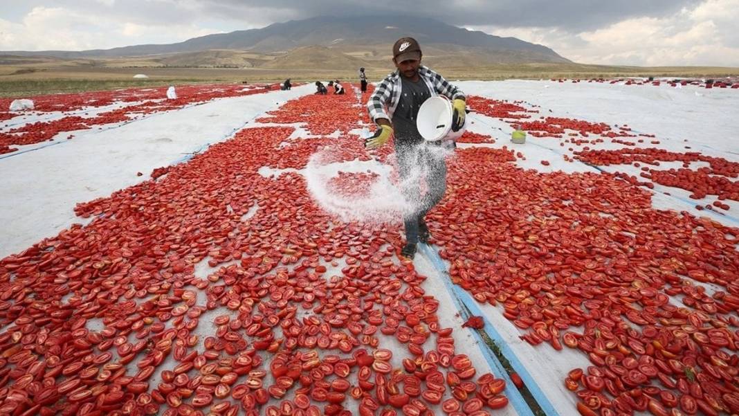 Bu mesleği yapanların başına talih kuşu kondu! Aylık net 101 bin lira maaşı var: İşte şartları 2